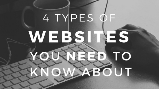 4 Types of Websites You Need to Know About