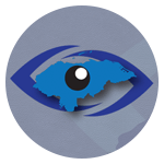 Project Vision Logo